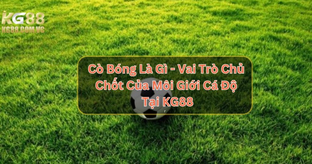 Cò Bóng Là Gì - Vai Trò Chủ Chốt Của Môi Giới Cá Độ Tại KG88 1 Cò Bóng Là Gì - Vai Trò Chủ Chốt Của Môi Giới Cá Độ Tại KG88