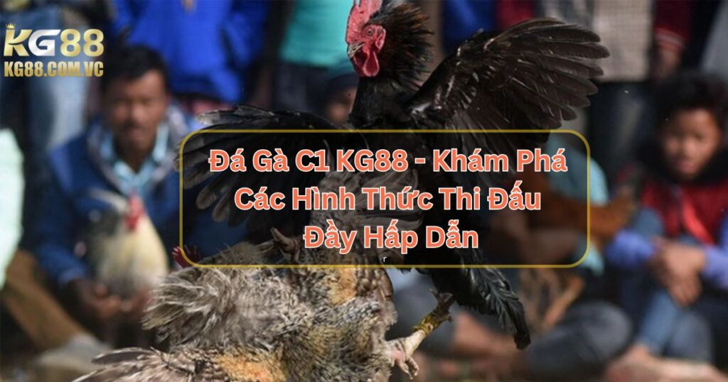 Đá Gà C1 KG88 - Khám Phá Các Hình Thức Thi Đấu Đầy Hấp Dẫn