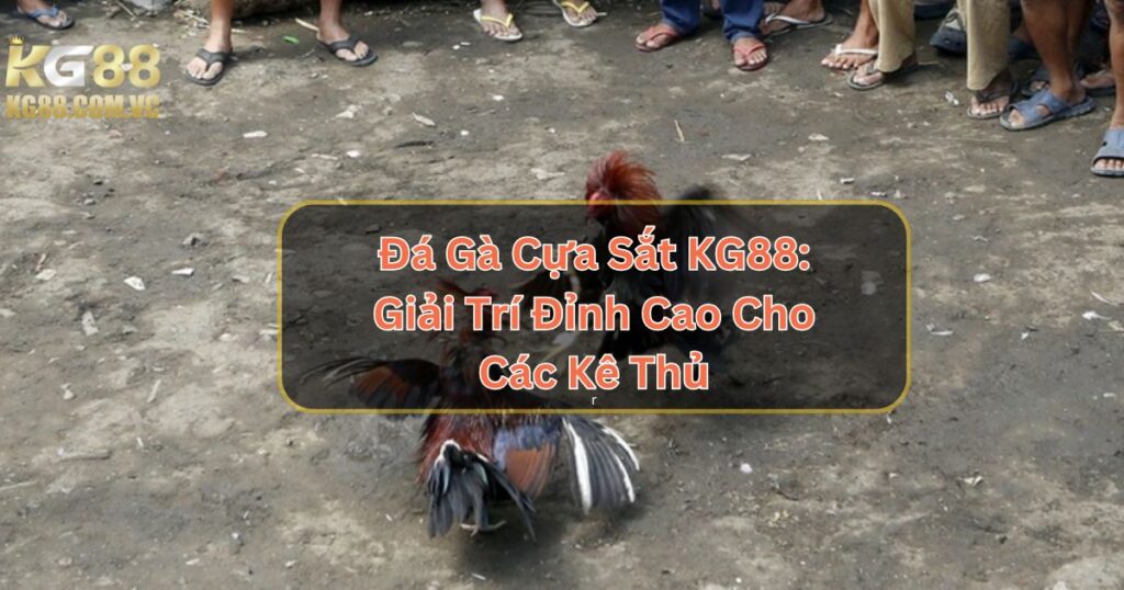 Đá Gà Cựa Sắt KG88: Giải Trí Đỉnh Cao Cho Các Kê Thủ 1 Đá Gà Cựa Sắt KG88: Giải Trí Đỉnh Cao Cho Các Kê Thủ