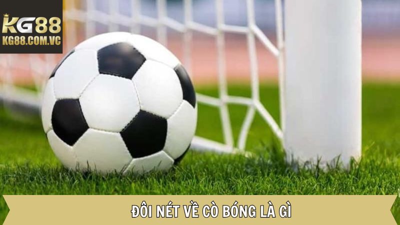 Cò Bóng Là Gì - Vai Trò Chủ Chốt Của Môi Giới Cá Độ Tại KG88 2 Đôi nét thú vị về cò bóng đá