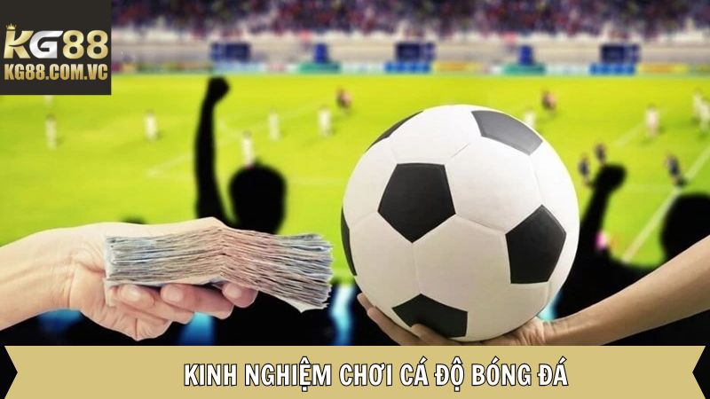 Bí quyết cá cược bóng đá thành công cho hội viên