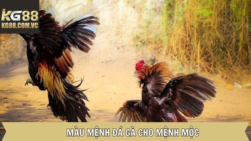 Tìm hiểu màu đá gà cho mệnh Mộc