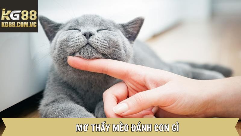 Mơ Thấy Mèo - Hé Lộ Những Điều Bí Ẩn Đến Từ Tiềm Thức Tại KG88 4 Giải mã các con số may mắn có thể xuất hiện sau mỗi chiêm bao