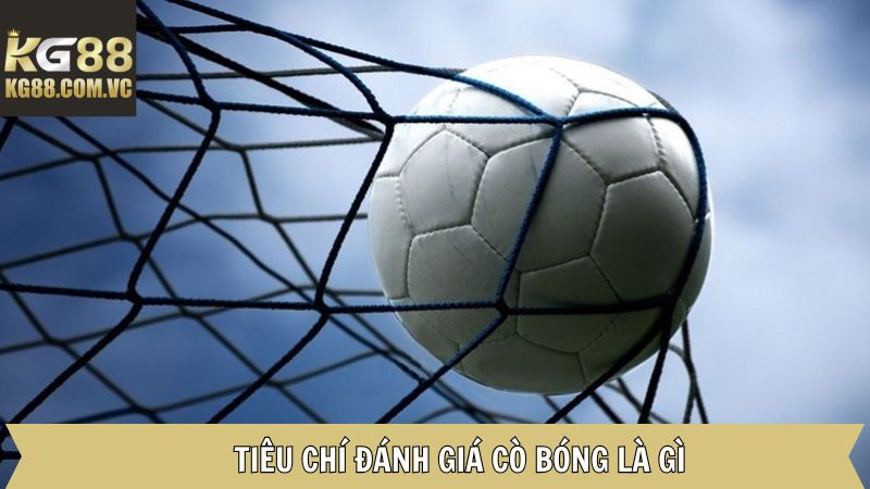 Cò Bóng Là Gì - Vai Trò Chủ Chốt Của Môi Giới Cá Độ Tại KG88 3 Cò bóng là gì và những yêu cầu tối quan trọng