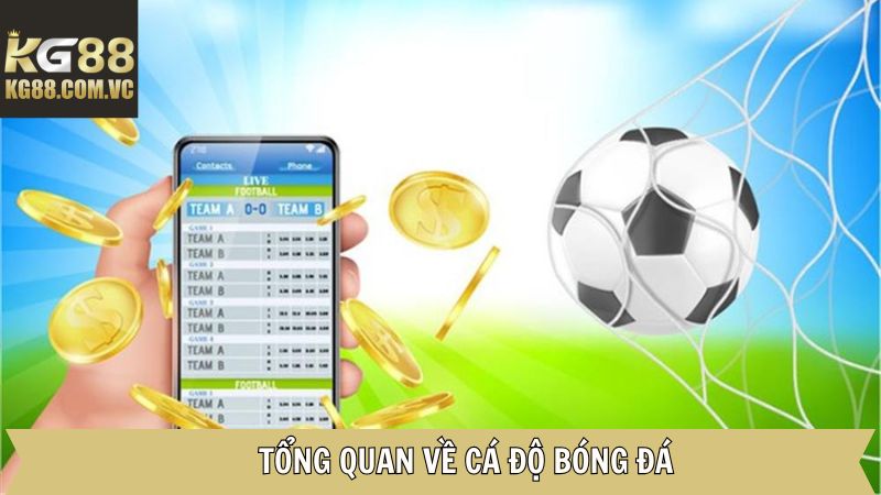 Đôi điều về cá cược bóng đá